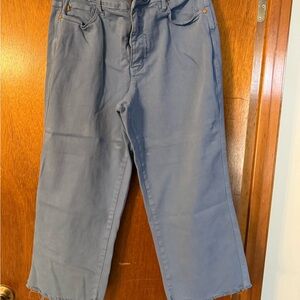 Judy Blue Cropped Ankle Jeans in Slate Blue